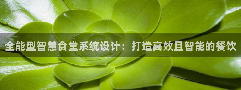 尊龙王t400
