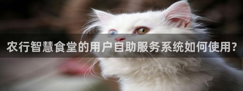 尊龙凯时怎么注册