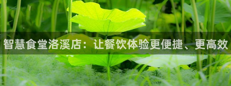 香港尊龙