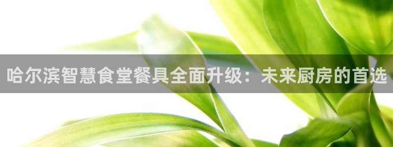 尊龙d88现金旧版本