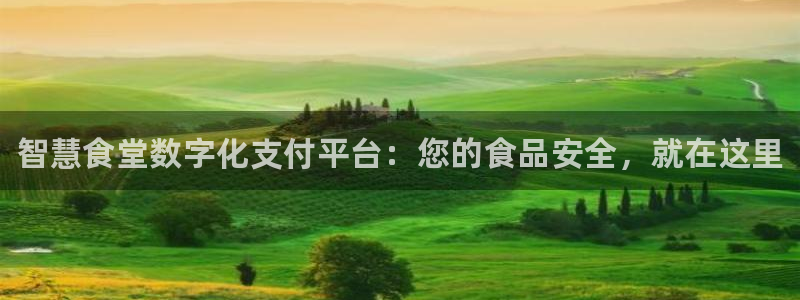 尊龙eight is enough